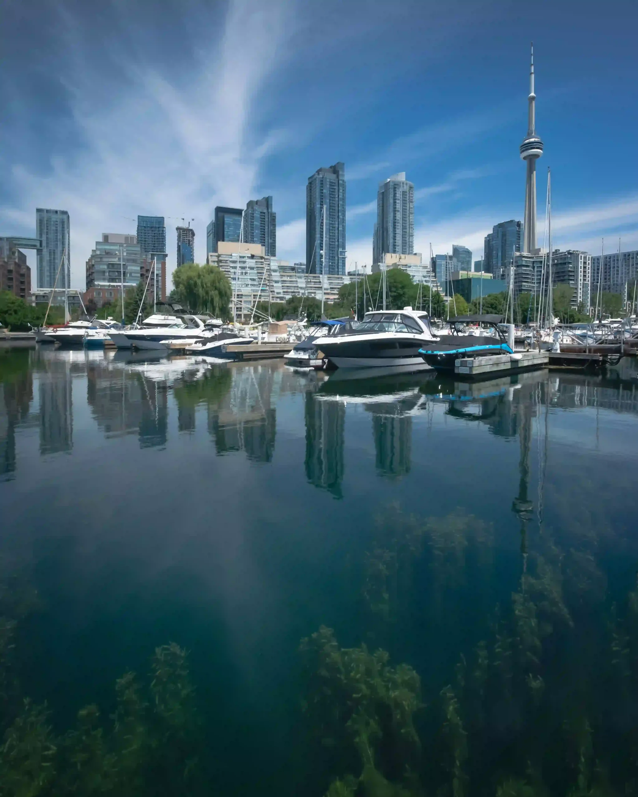 加拿大的快速通道和省提名计划(PNPs)有什么区别?